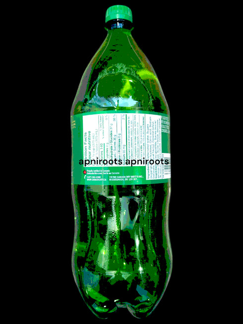 canada-dry-gingerale-2l