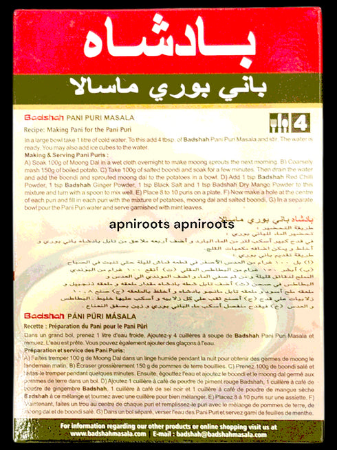 badshah-pani-puri-masala-100g