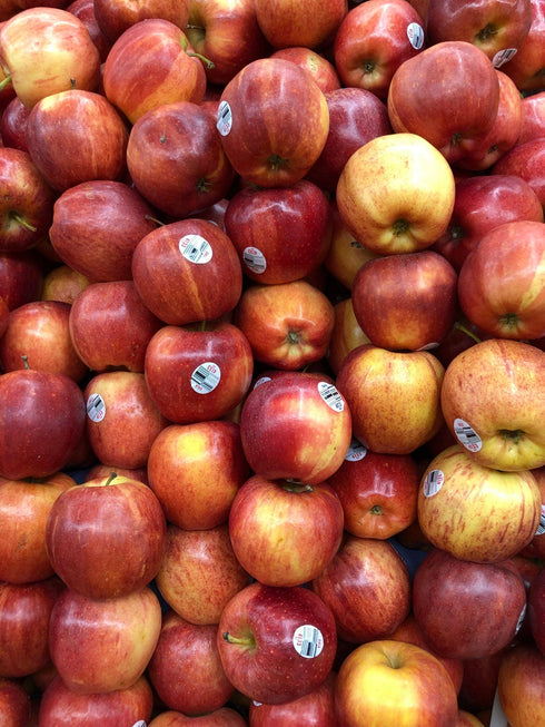 APPLE GALA - 1lb | (2 pcs approx.) - apniroots Grocery