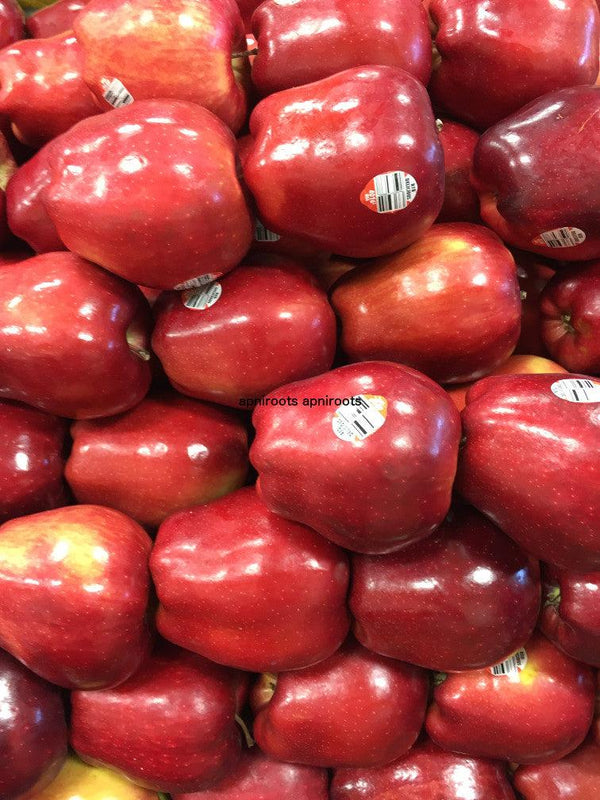 APPLE RED - 1LB | (2 pcs approx.) - apniroots Grocery