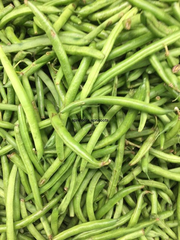 BEANS - 1LB - apniroots Grocery