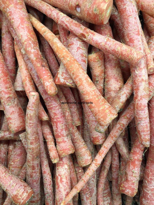 CARROTS INDIAN - 1LB | (3 pcs approx.) - apniroots Grocery