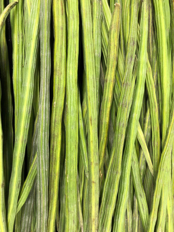 DRUMSTICK -each - apniroots Grocery