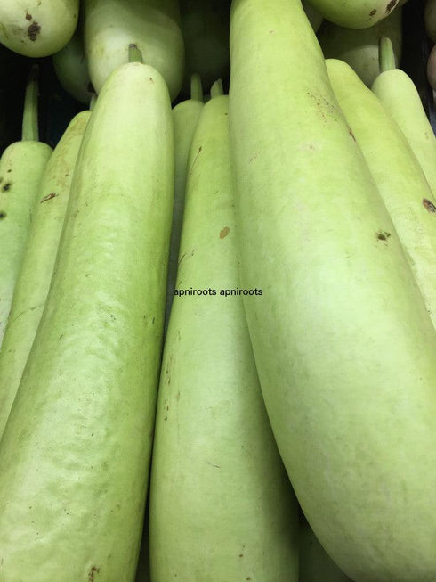 LOCKEY INDIAN - 2.5LB - apniroots Grocery