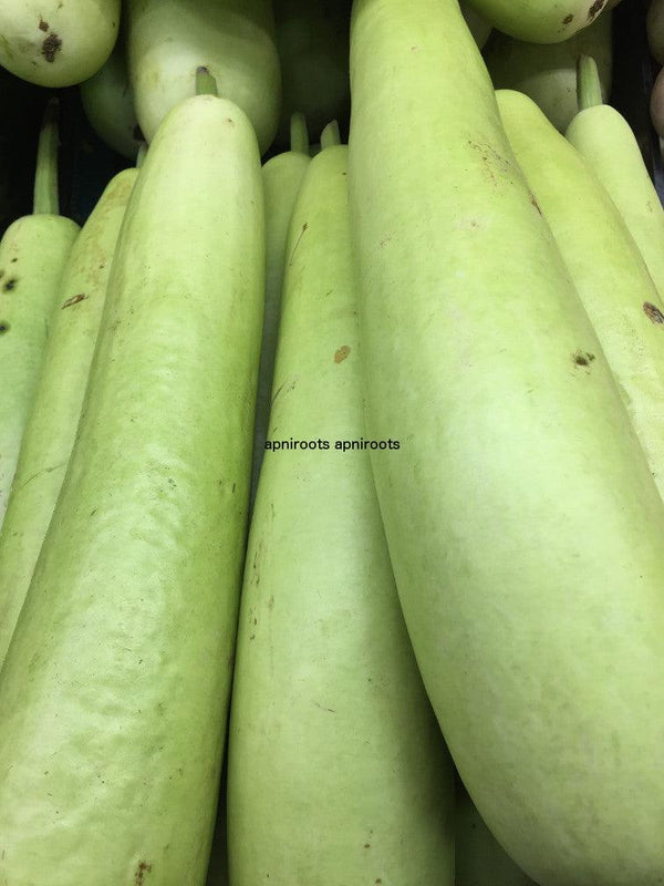 LOCKEY INDIAN - 2.5LB - apniroots Grocery