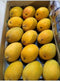 Mango Alphonso - Indian Mango Large Box (12 PCS) - apniroots Grocery