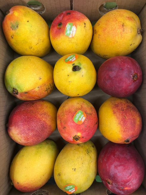 Mango Haden - Large Box ( 10 PCS) - 4KG - apniroots Grocery