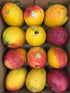 Mango Haden - Large Box ( 10 PCS) - 4KG - apniroots Grocery
