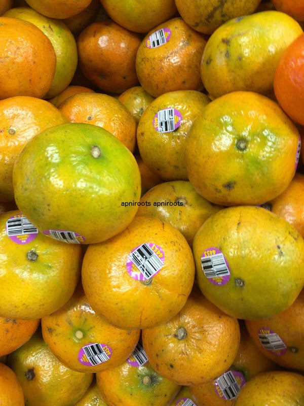 ORANGE TANGERINE LARGE - 1LB | (2-3 pcs approx.) - apniroots Grocery