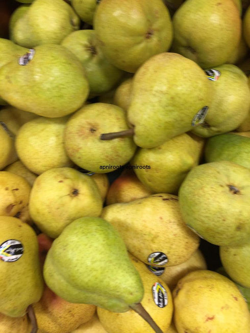 PEAR BARLET - 1LB | (2 pcs approx.) - apniroots Grocery