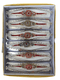 RAKHI plastic wrap 001 - 1 pcs - apniroots Grocery