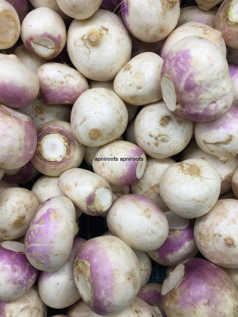 TURNIP - 1LB | (1-2 pcs approx.) - apniroots Grocery