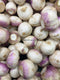 TURNIP - 1LB | (1-2 pcs approx.) - apniroots Grocery