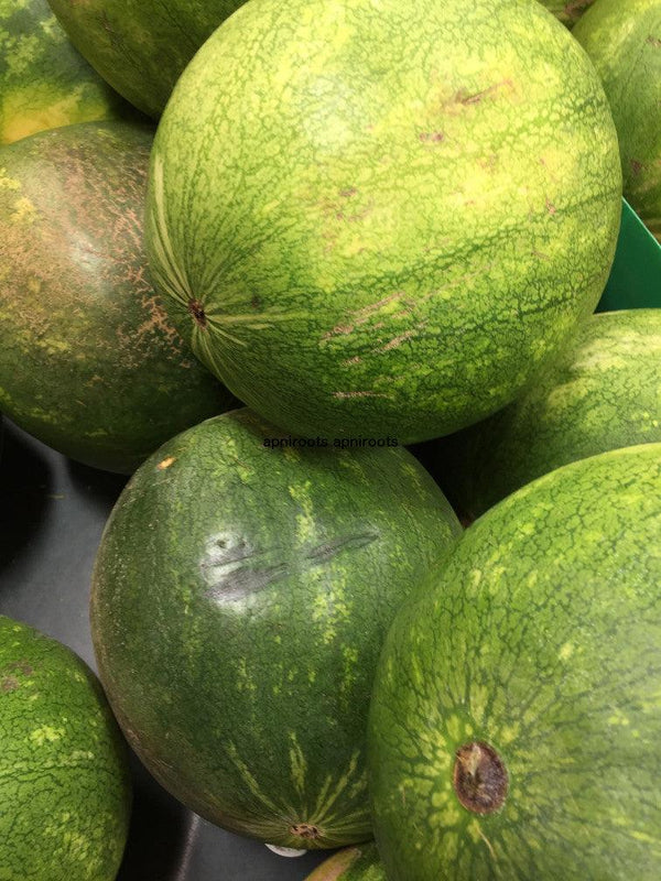 WATER MELON EACH - apniroots Grocery