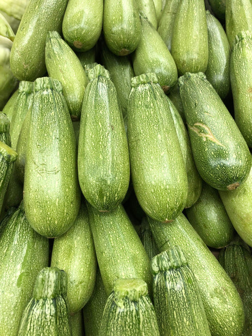 ZUCCINI GREY 1lb | (2 pcs approx.) - apniroots Grocery
